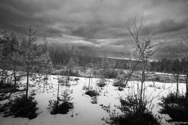 10. Helsinki en Rovaniemi